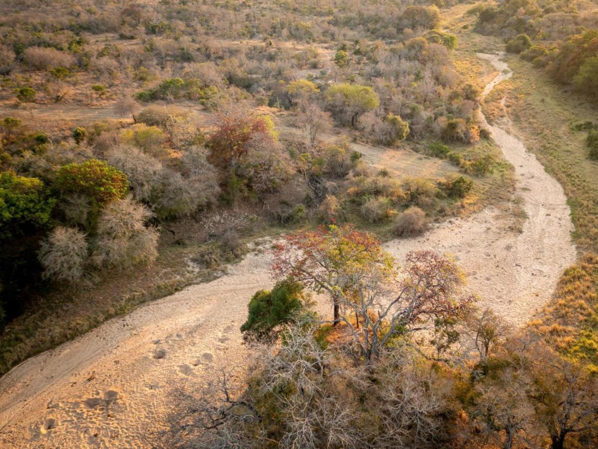 Shimungwe Lodge, Thornybush Game Reserve โฮดสปรูท ภายนอก รูปภาพ