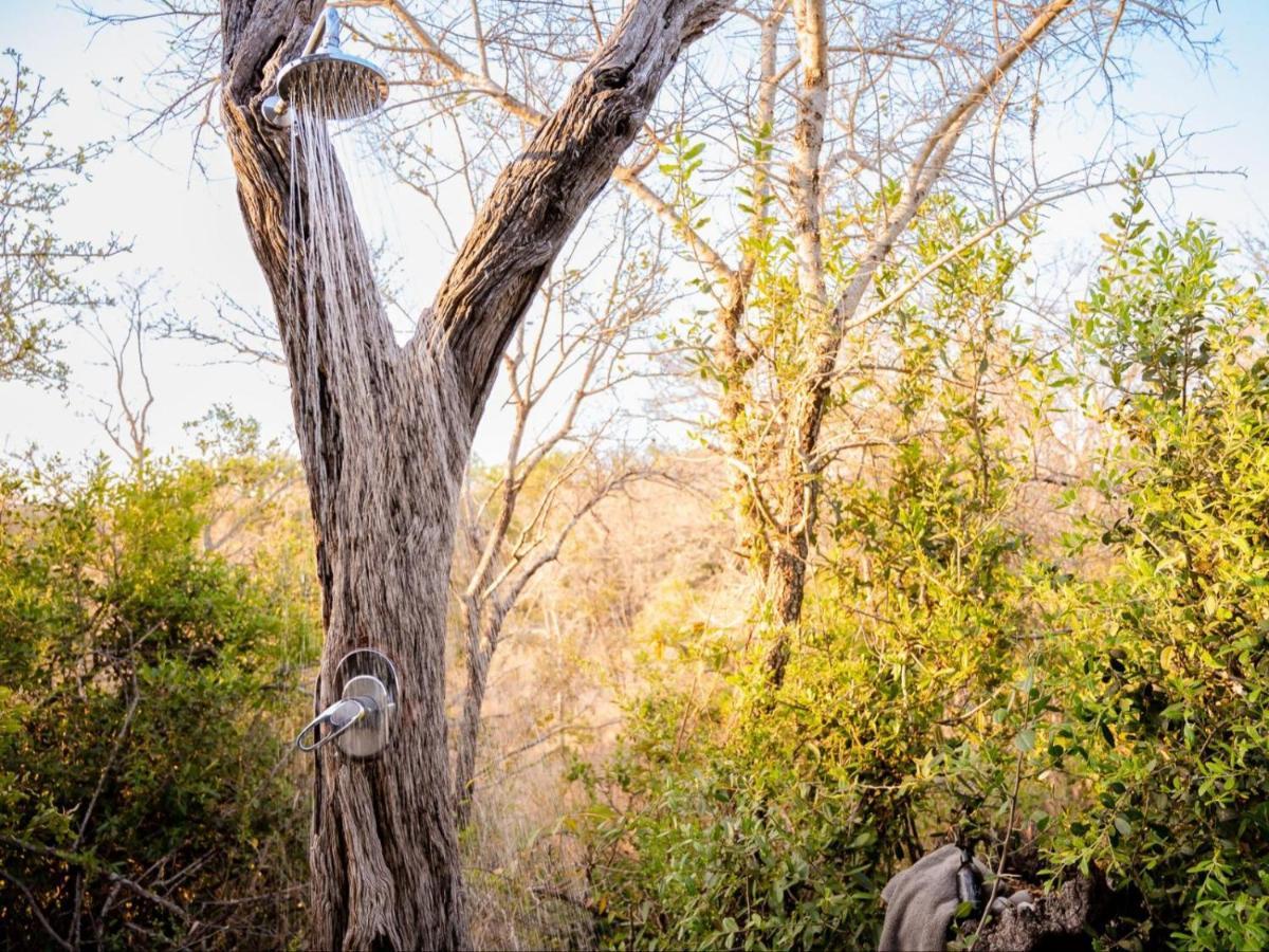 Shimungwe Lodge, Thornybush Game Reserve โฮดสปรูท ภายนอก รูปภาพ